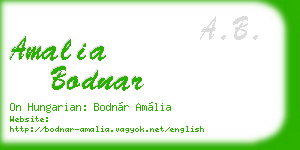 amalia bodnar business card